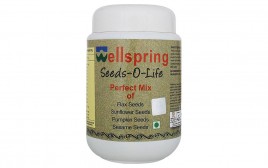 Wellspring Seeds-O-Life (Perfect Mix Of Flax Seeds, Sunflower Seeds, Pumpkin Seeds, Sesame Seeds)  Plastic Jar  400 grams